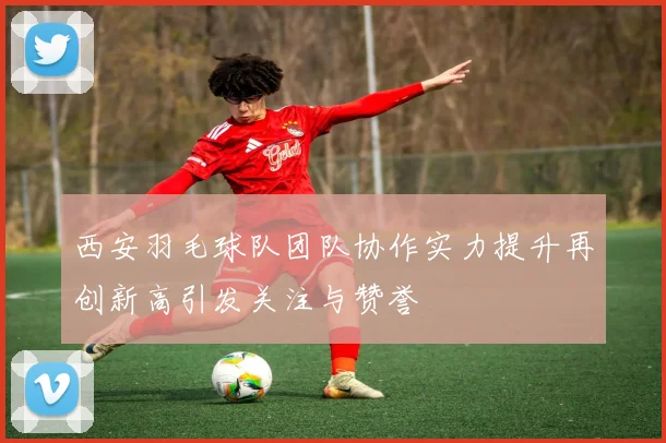 西安羽毛球队团队协作实力提升再创新高引发关注与赞誉