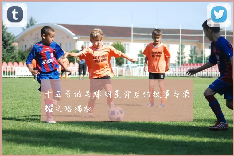 十五号的足球明星背后的故事与荣耀之路揭秘