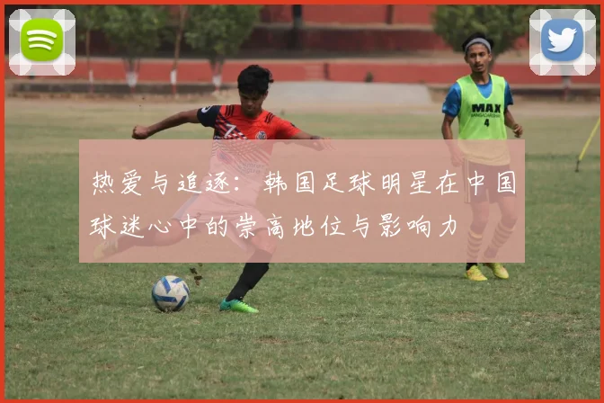 热爱与追逐：韩国足球明星在中国球迷心中的崇高地位与影响力