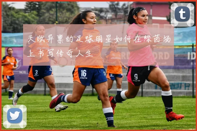 天赋异禀的足球明星如何在绿茵场上书写传奇人生