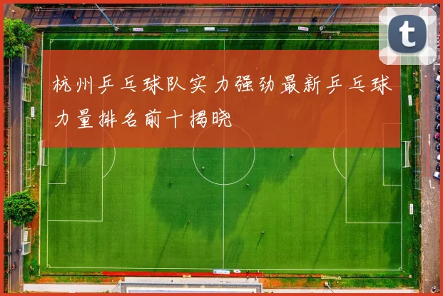 杭州乒乓球队实力强劲最新乒乓球力量排名前十揭晓