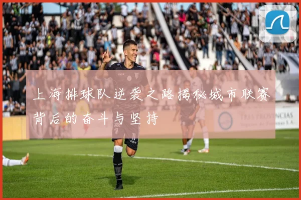 上海排球队逆袭之路揭秘城市联赛背后的奋斗与坚持