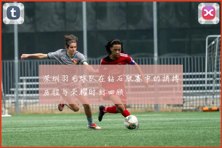 深圳羽毛球队在钻石联赛中的拼搏历程与荣耀时刻回顾