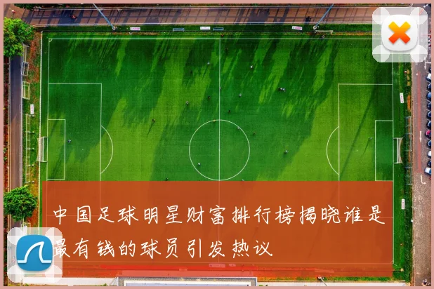 中国足球明星财富排行榜揭晓谁是最有钱的球员引发热议
