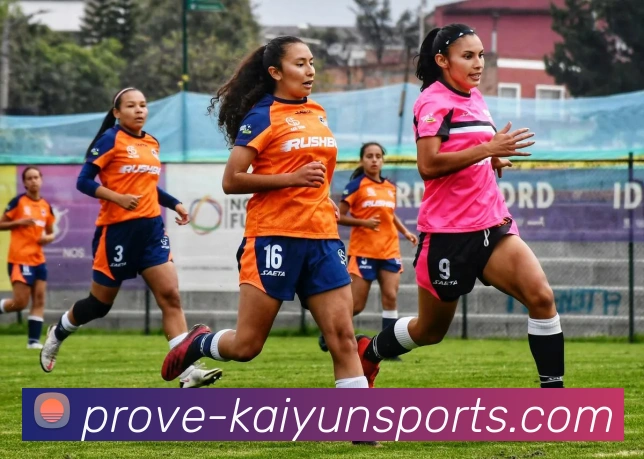 开云体育发展历程